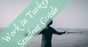 Work in Turkey in 2020 - Student Guide