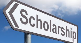 Scholarship in Finland