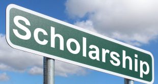 types of scholarships in New Zealand