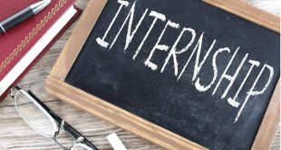 internship abroad for international students