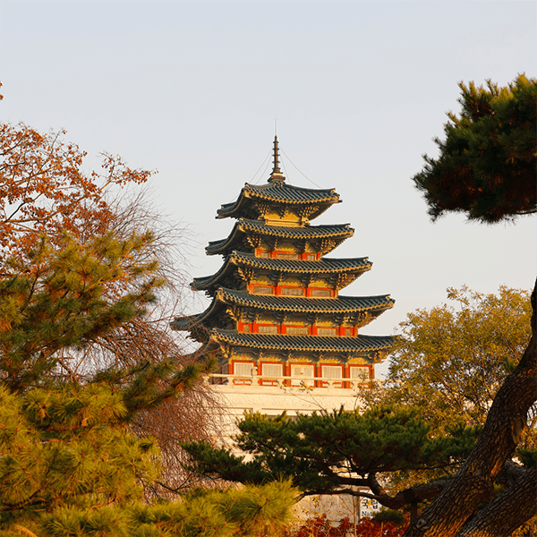 Best cities to study abroad | Seoul