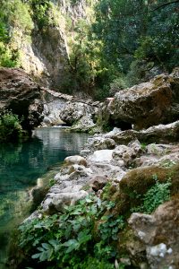 منتزه