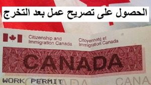 الحصول على تصريح عمل بعد التخرج