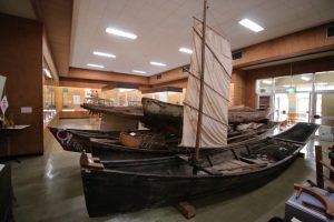 جزيرة Ishigaki في اليابان