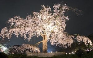 منطقة هيغاشياما