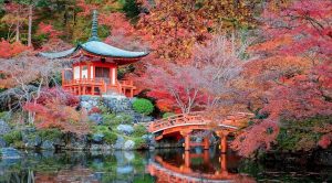 منطقة ياماشينا