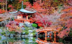 رحلة بميزانية محددة في اليابان