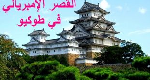 القصر الإمبريالي في طوكيو اليابان
