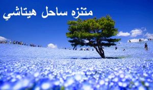 متنزه ساحل هيتاشي