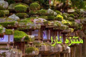 منتزه نارا في اليابان