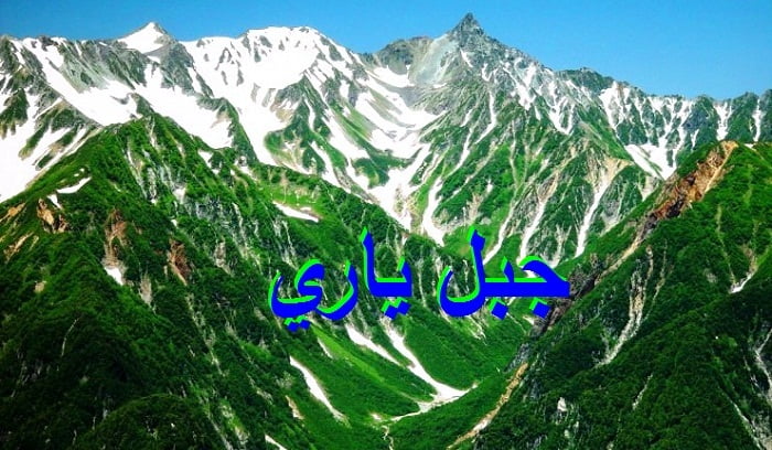 جبل ياري