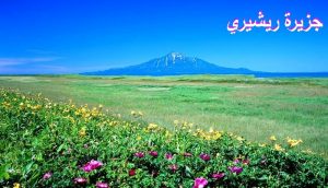 جزيرة ريشيري