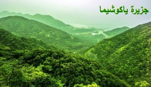 جزيرة ياكوشيما