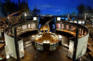 متحف ولايات فوكوي للديناصورات