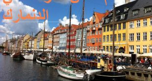 إليك أهم المدن للدراسة في الدنمارك؟