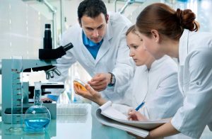 دراسة الطب والهندسة في نيوزيلندا